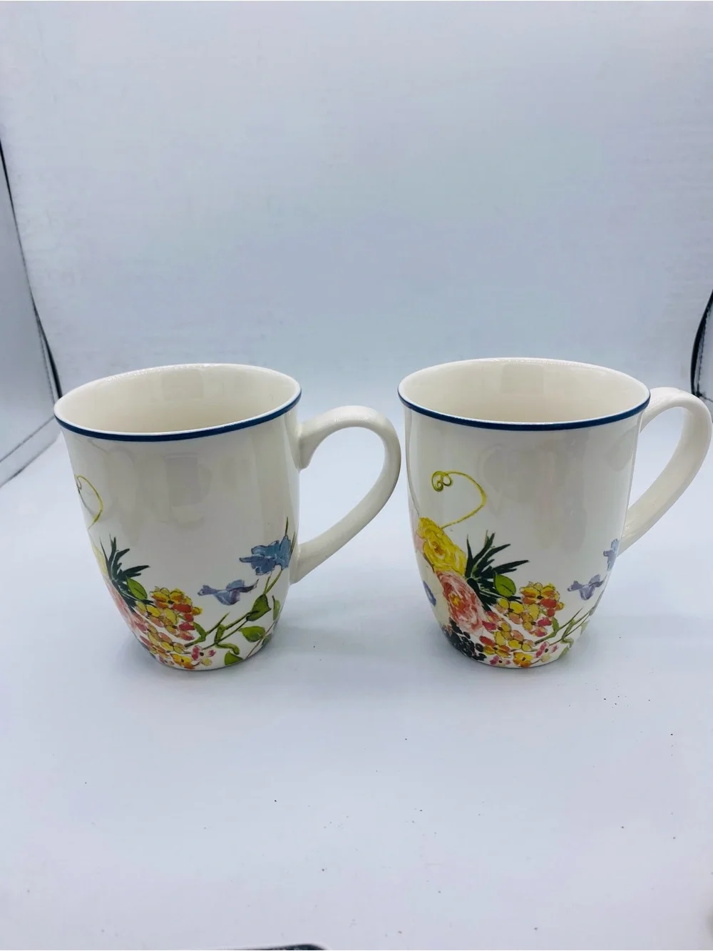 Pottery Barn China Floral Rim Collection Set of 2 Discontinued